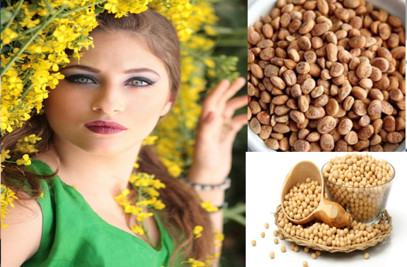 benefits-of-chironji-and-soybean-for-facial-glow-and-skin-disease चेहरे की चमक और त्वचा रोग के लिए जानें चिरौंजी और सोयबीन के फायदे