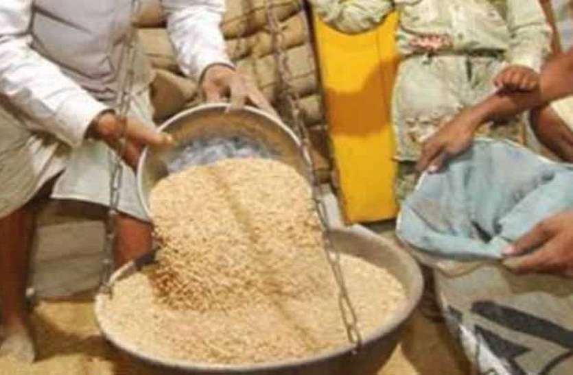 Finishing the registration of wheat गेहूं के पंजीयन का काम खत्म, 25 से होगी खरीदी