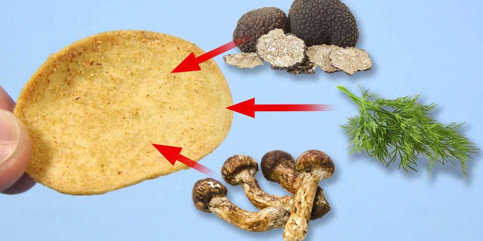 most expensive chips