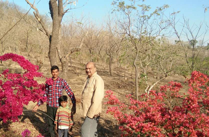 news उजाड़ पहाड़ी को मोरों से आबाद किया डॉक्टर ने