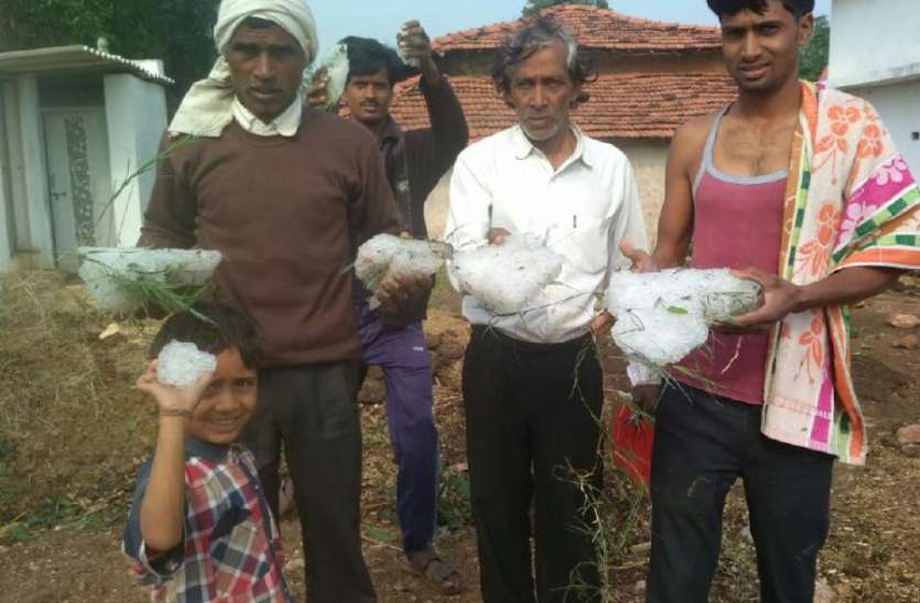 rain in betul and hoshangabad बदला मौसम : आधी रात तेज बारिश के साथ गिरे ओले, बढ़ी किसानों की चिंता