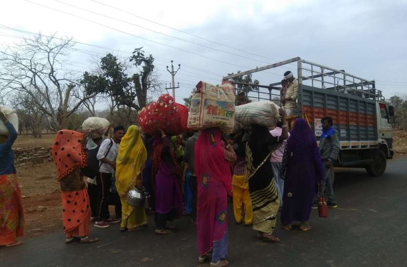 sheopur 15 दिन में पलायन कर गए 1500 सहरिया परिवार