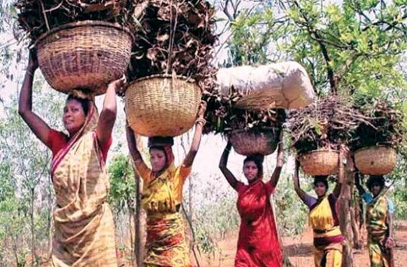 After the order of eviction, there were disturbed forest land बेदखली के आदेश के बाद से परेशान थे वनभूमि के बाशिंदे