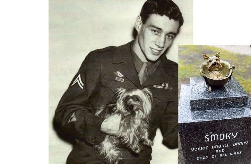 famous war dog who served in World War II