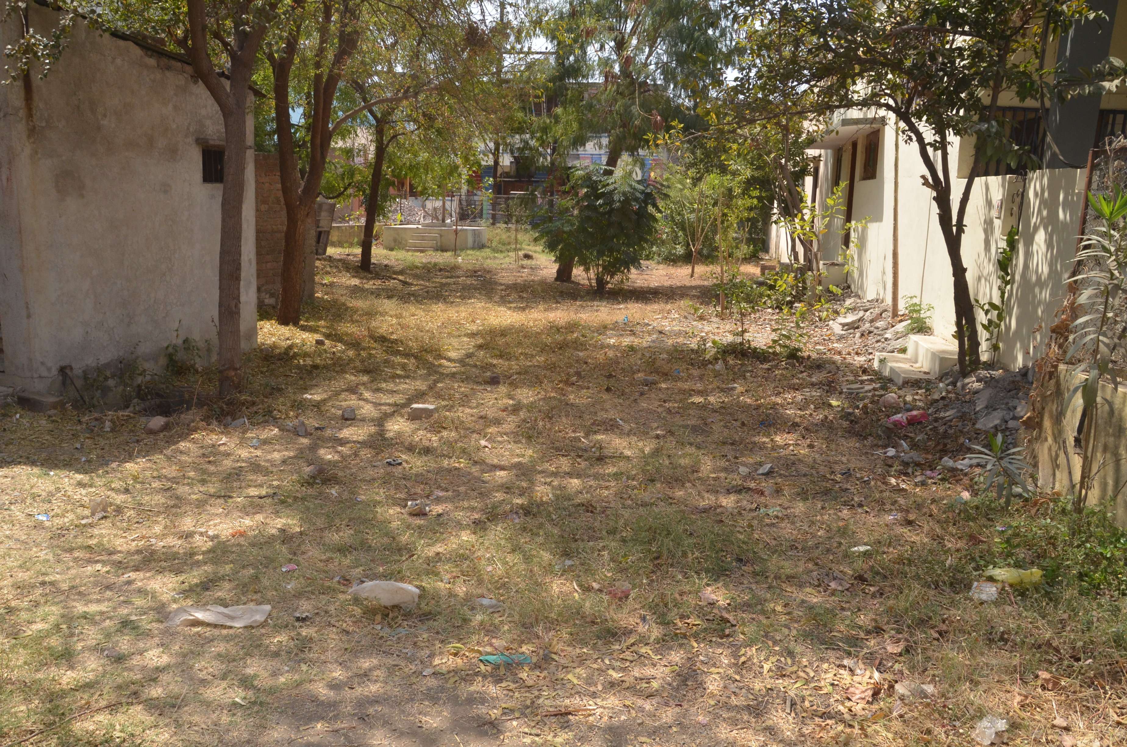 dewas