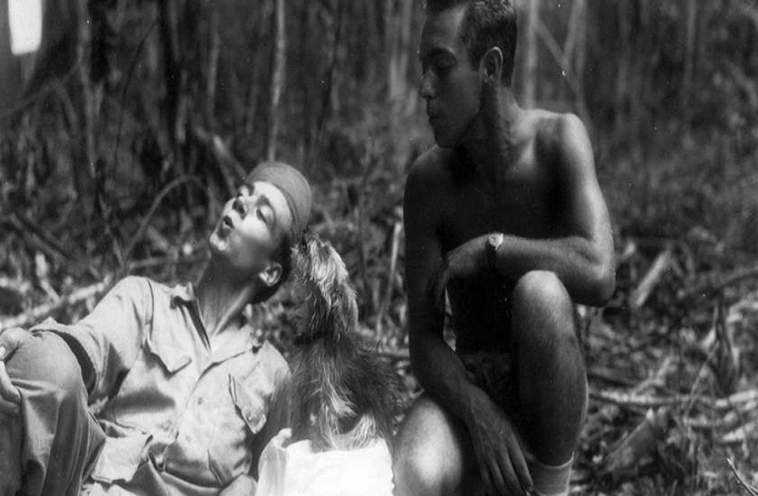 World War II Hero Dog smoky
