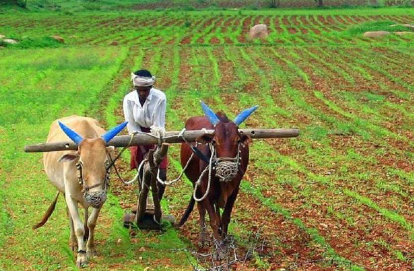 farmer news सरकार ने किया वादा पूरा, किसानों के खाते में जमा हुई 430 रुपए भावांतर की राशि