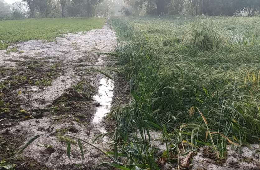 Be alert! Today the probability of rain and hail fall with thunderstorms रहिए सतर्क ! आज गरज-चमक के साथ बारिश और ओले गिरने की संभावना, प्रदेश के इन जिलों में गिरे ओले