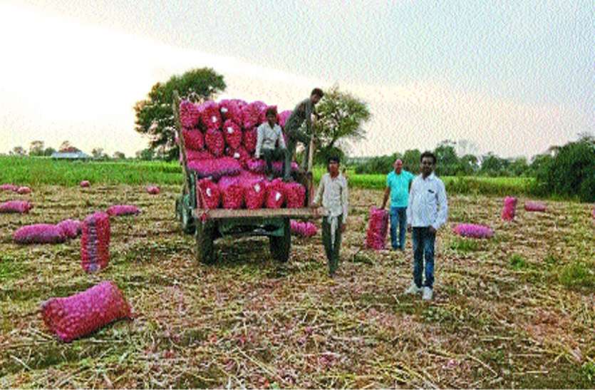 Businessmen not ready to buy onions from farmers एक रुपए किलो में भी किसानों से प्याज खरीदने को तैयार नहीं व्यापारी