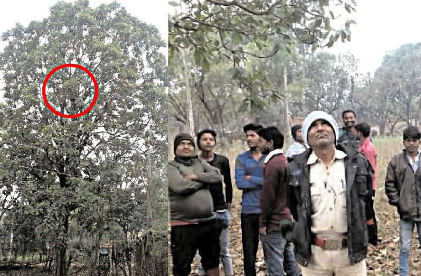Leopard entered the village सुबह धूप सेंक रहे थे ग्रामीण, तभी गांव में घुस आया तेंदुआ, जानिए फिर कैसे मची भगदड़