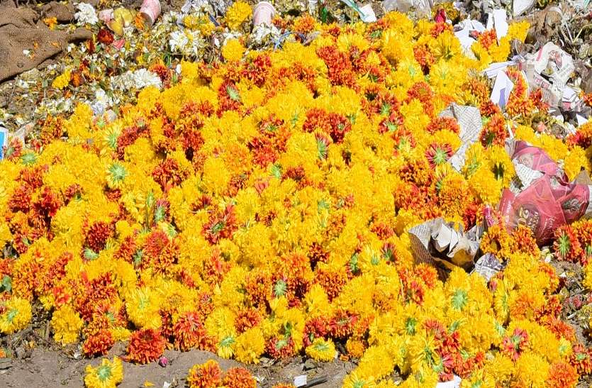 jaipur महाशिवरात्रि के बाद भी जारी रहेगा फूल-पूजन सामग्री से जैविक खाद बनाने का सिलसिला