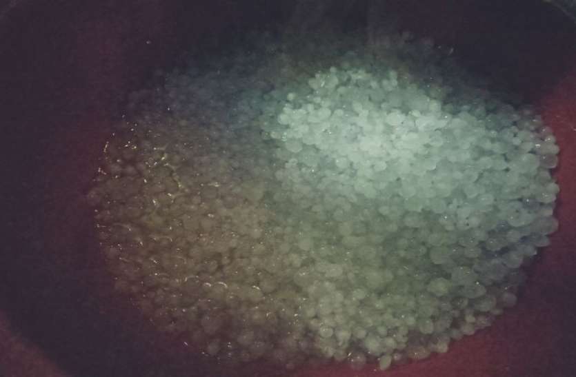 Suddenly hail wet with rain अचानक बदला मौसम बारिश के साथ गिरे ओले, देखें वीडियो