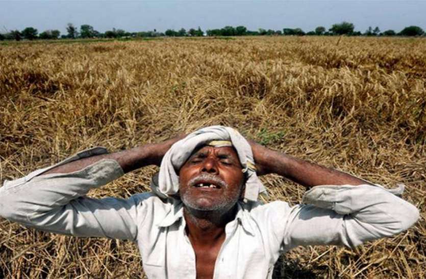 farmers इन किसानों से सरकार वापस लेने जा रही है 2000 रुपए, इस योजना के तहत बांटे थे पैसे