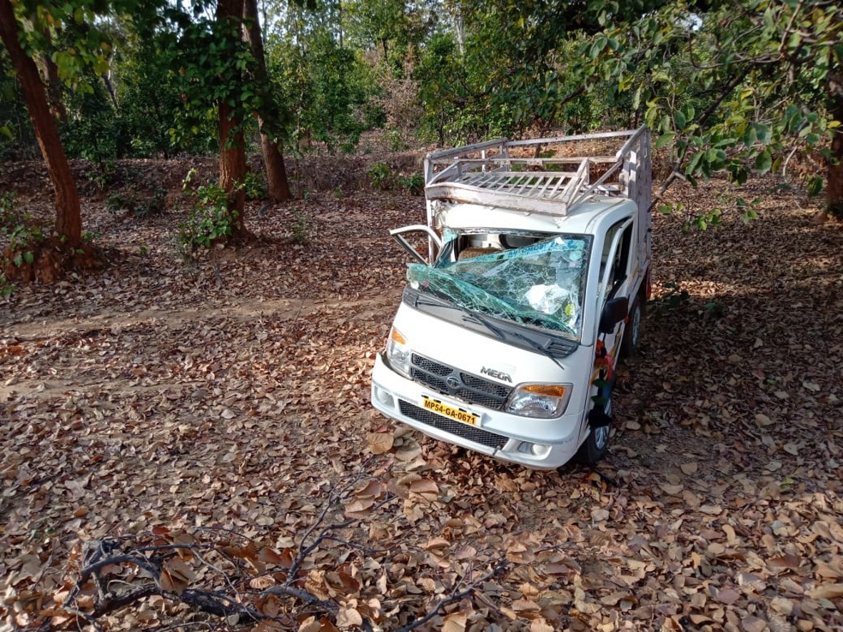 Uncontrolled vehicle collides with tree, two serious अनियंत्रित मैजिक पेड़ से टकराई, दो गम्भीर