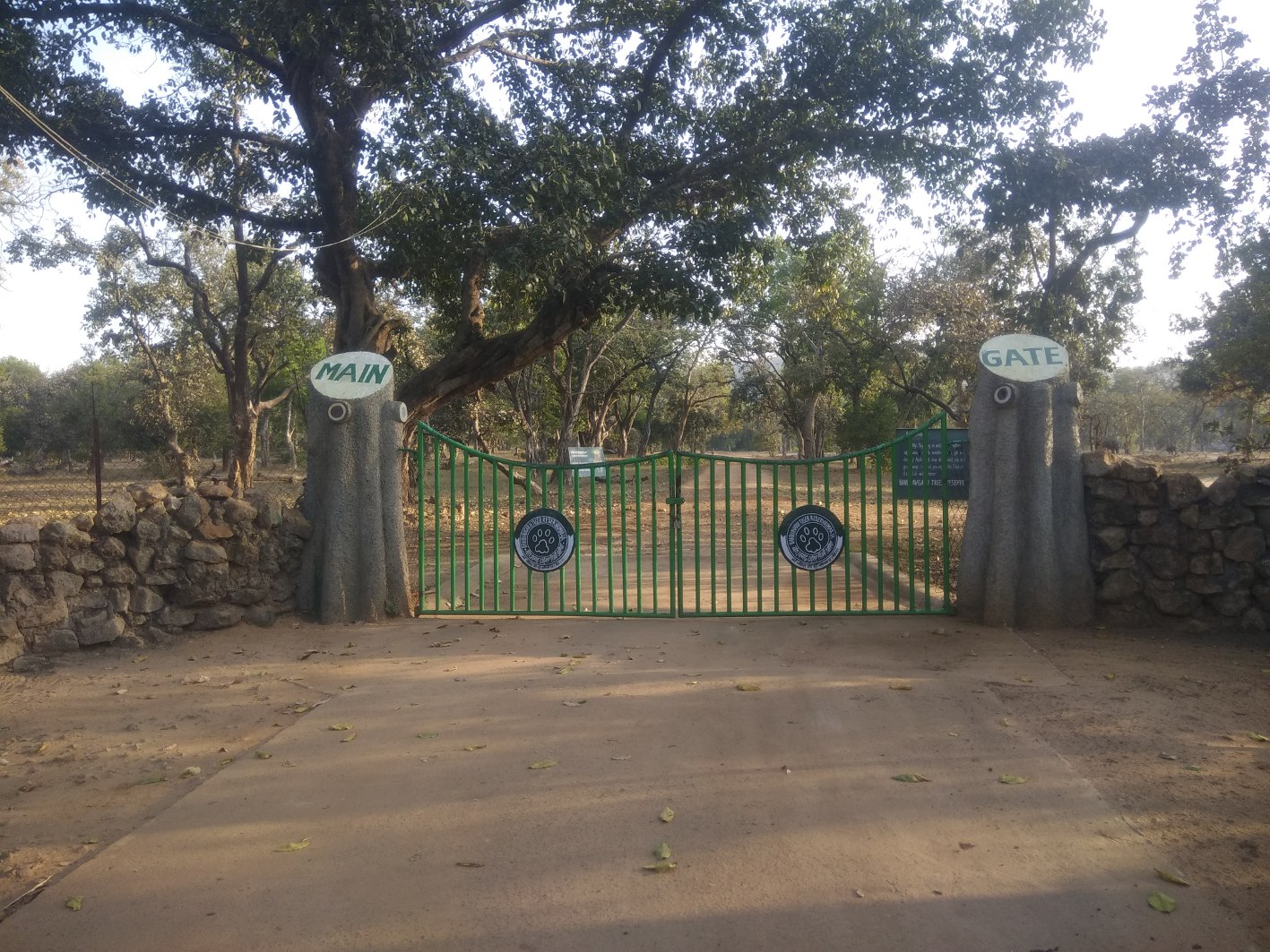 Wild elephants gave knock at lock zone ताला जोन में जंगली हाथियों ने दी दस्तक
