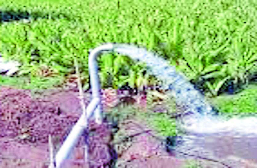 CGNews किसानों की अनुदान राशि डकारने वाले पर गिरी गाज, सरकार ने कृषि विभाग के DDA को किया निलंबित
