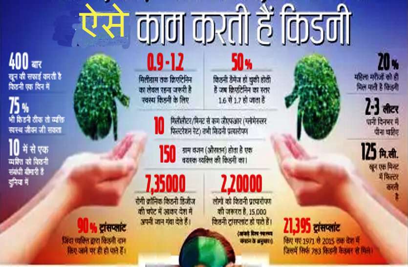 World Kidney Day in hindi किडनी से जुड़ी बीमारियों के लक्षण और बचाव, जाने इसके कार्य