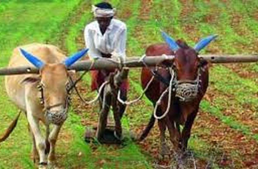udaipur ये क्या यहां नकदी मिलने से पहले ही काट रहे हैं किसानों की जेब