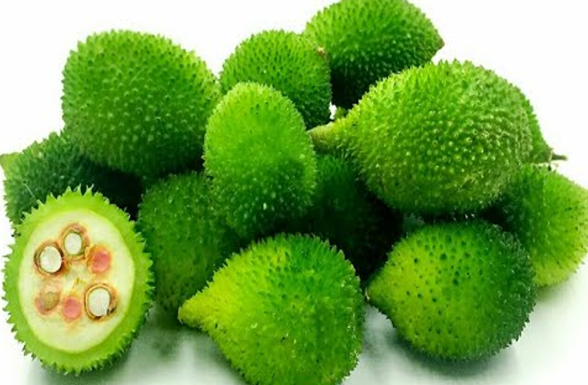 kakora-benefits बड़ा फायदेमंद है ये छोटा सा फल 'ककोड़ा'