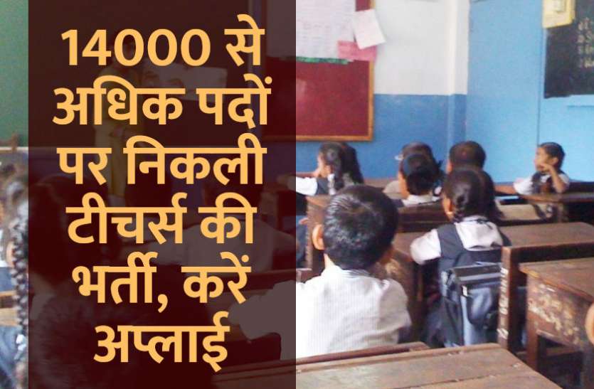 teacher recruitment,govt job,govt job news,Govt Job in Hindi,teacher recrutment,teacher recruitment news,teacher vacancy,latest Govt job,CG Govt job,bumper recruitment,govt job in cg,teacher vacancy news,teacher vacancy latest news,Primary Teacher Bharti,Sarkari Teacher Job,chhattisgarh govt job,latest chhattisgarh job,Sarkari Teacher Naukri,teacher bharti,latest chhattisgarh job updates,sarkari teacher vacancy,Chhattisgarh Govt Jobs,Latest Govt Job in CG,Govt Job Notifications,Government Teacher Recruitment,Latest Govt Job Openings,teacher bharti 2019,CG Teacher Recruitment, 14000 से अधिक पदों पर निकली टीचर्स की भर्ती, जानें पूरी डिटेल्स