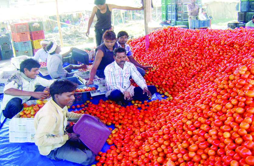 Vegetable prices also bounce गर्मी आते ही सब्जियों के दाम में भी उछाल