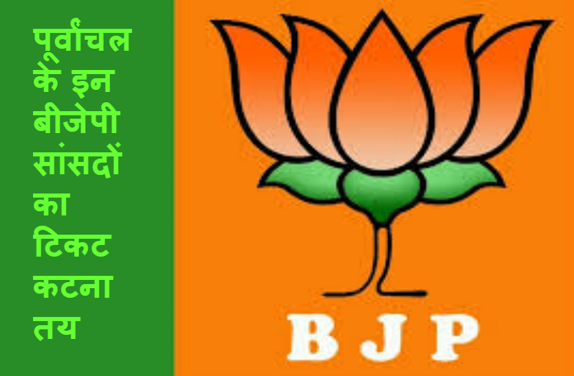 bjp लोकसभा में संघ की भूमिका होगी अहम, पोलिंग बूथ से चुनावी मैनेजमेंट पर रहेगी नजर