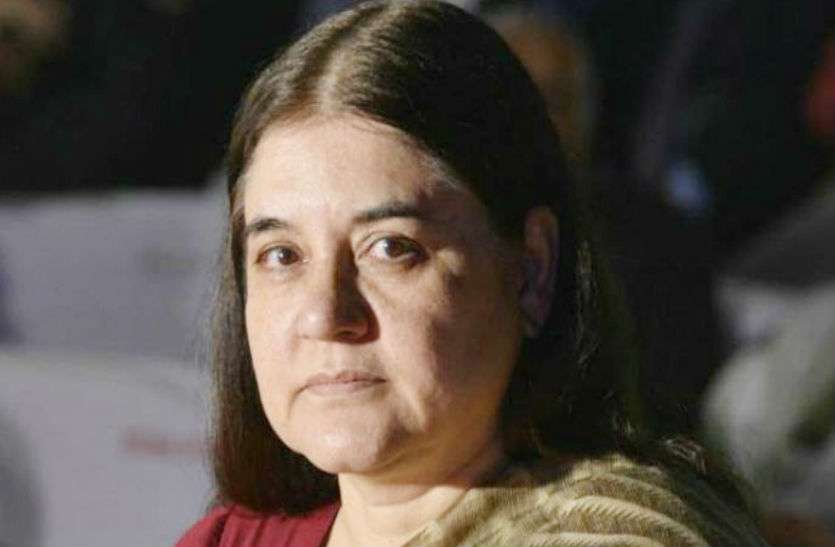 Maneka Gandhi मेनका गांधी पर इस पार्टी के प्रत्याशी ने जमकर साधा निशाना, भाजपा पर लगाए गंभीर आरोप
