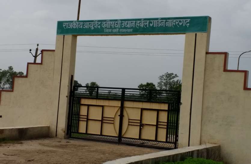 baran उदासीनता की भेंट चढ़ा हर्बल गार्डन