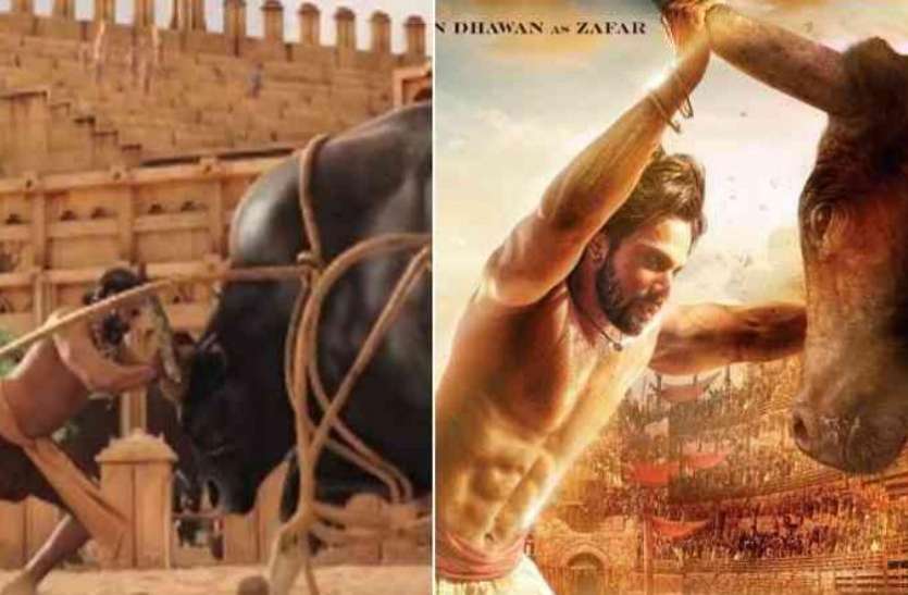 bramhan bull फिल्म कलंक के पोस्टर में दिख रहा ये सांड नहीं है आम, इसकी ताकत के आगे टिकना मुश्किल ही नहीं नामुमकिन