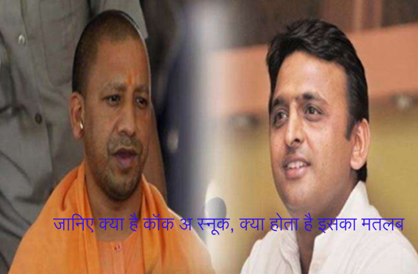 cock a snook meaning kya hota hai जानिए क्या है कॉक अ स्नूक, जिसका मतलब नहीं समझ पाए अखिलेश