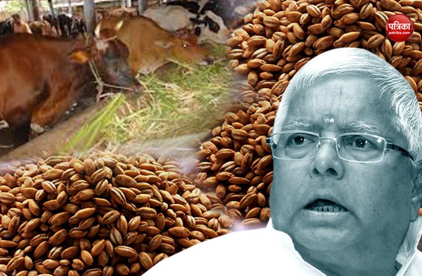 चारा घोटाला मामला- लालू प्रसाद यादव चारा घोटाला: लालू की जमानत याचिका पर सुप्रीम कोर्ट में सुनवाई आज