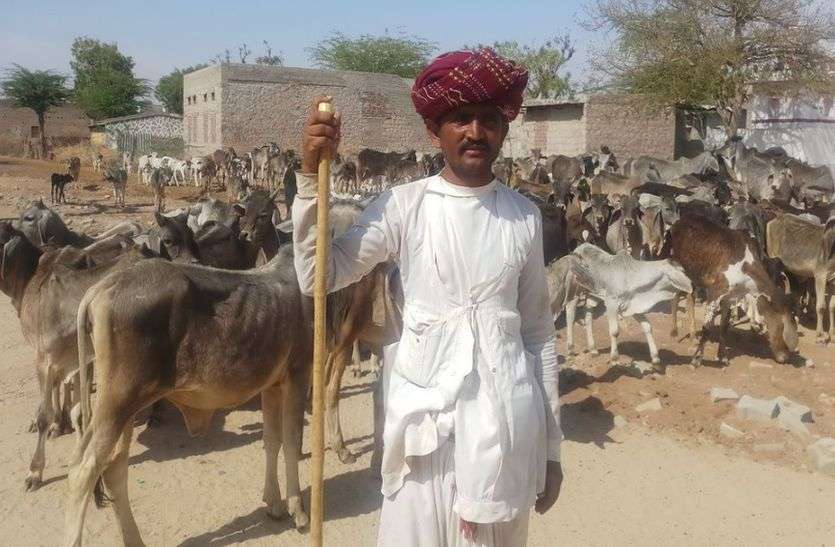 Bait चारे की तलाश में परिवार सहित इधर से उधर भटक रहा पशुपालक