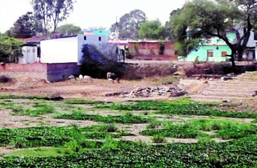 तालाब को पाटकर बनाया जा रहा मकान, कार्रवाई करने से जिम्मेदार अफसरों के कांप रहे हाथ तालाब को पाटकर बनाया जा रहा मकान, कार्रवाई करने से जिम्मेदार अफसरों के कांप रहे हाथ