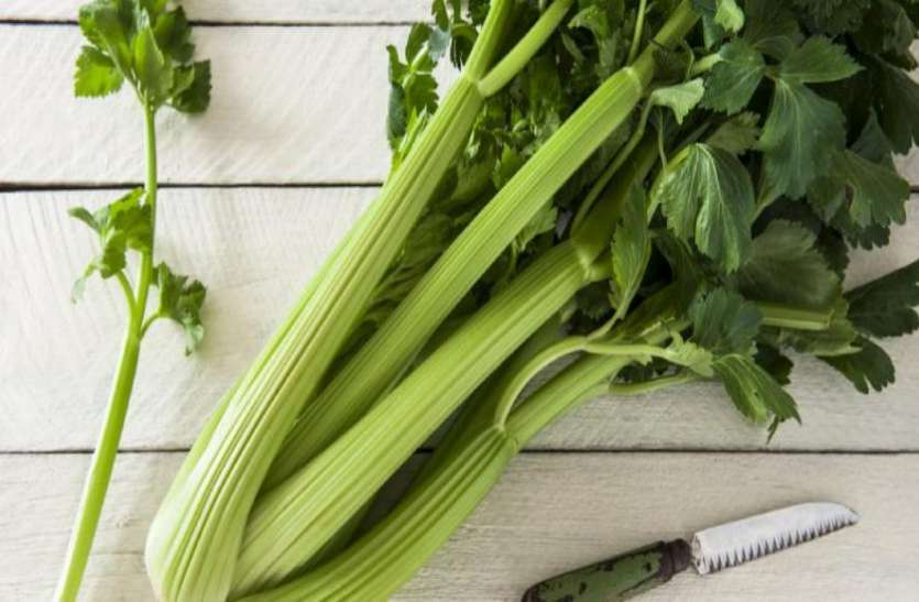 benefits of celery पेट के अल्सर समेत यूरीन इंफेक्शन से पाना है छुटकारा तो पिएं इन पत्तियों का जूस
