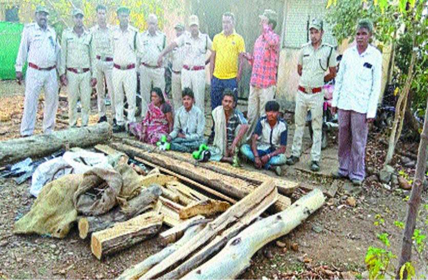Forest Department seized sensible teas वन विभाग ने दिखाई सूझबूझ, पकड़ा सागौन तस्कर गिरोह
