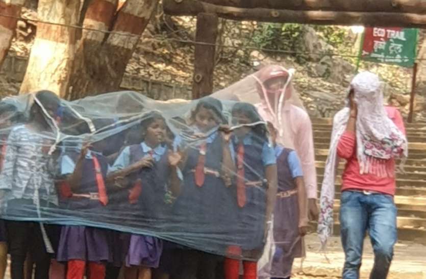 धुएं से बौखलाए मधुमक्खी, हेडमास्टर को डंक मारकर मधुमक्खियों ने किया घायल, बच्चों को ऐसे निकाला गया सुरक्षित धुएं से बौखलाए मधुमक्खी, हेडमास्टर को डंक मारकर मधुमक्खियों ने किया घायल, बच्चों को ऐसे निकाला गया सुरक्षित