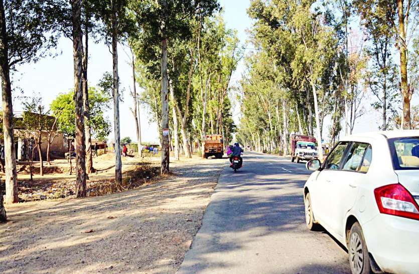 207 People Death On Alwar Ramgarh Road In Last 5 Years अलवर के इस 22 किलोमीटर के रोड पर 5 साल में हो चुकी 207 लोगों की मौत, अब 122 करोड़ की लागत से बनने जा रही नई सडक़