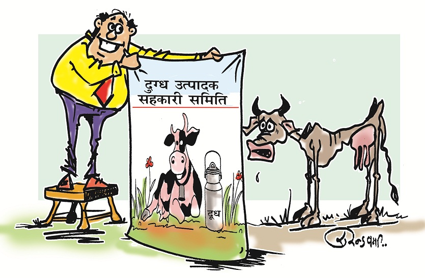 milk-producer-cooperatives-audit-fake-scam घोटालों पर पर्दा डालने के लिए भी घोटाला ! पढ़िए इन सहकारी समितियों के कारनामों का खेल...