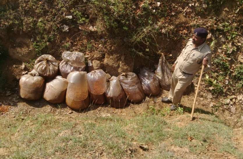 balaghat 120 लीटर कच्ची शराब, ८२० किग्रा महुआ लाहन जब्त