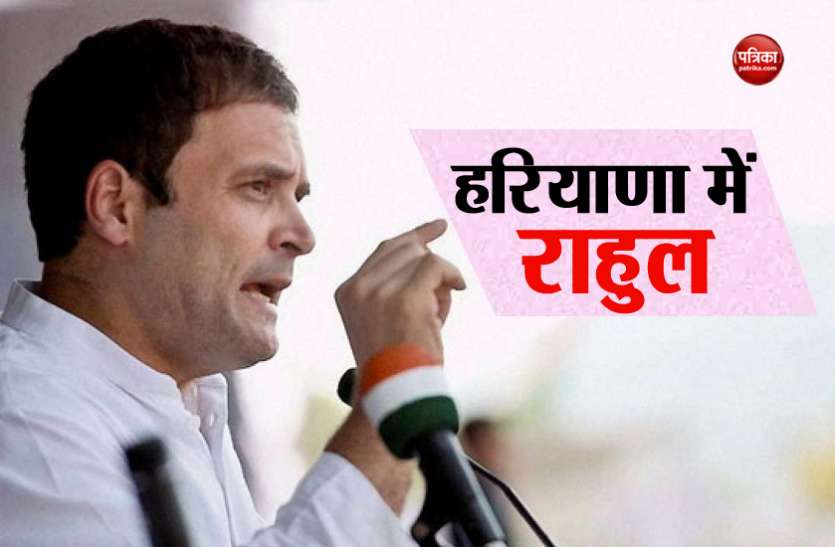 news हरियाणा: राहुल गांधी की चुनावी हुंकार- 'जहां जाते हैं नफरत फैलाते हैं नरेंद्र मोदी'