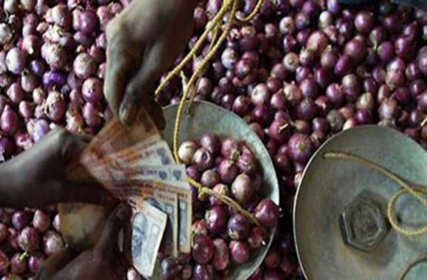 Onion Price कृषि मंत्रालय की रिपोर्ट में खुलासा, कौडिय़ों के भाव प्याज बिकने से किसानों को 4200 करोड़ का नुकसान