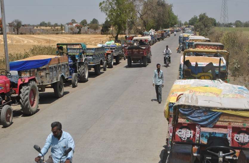 sehore सायलो पर लगी एक किलो मीटर लंबी लाइन, 832 किसानों से खरीदा 41 हजार क्विंटल गेहूं