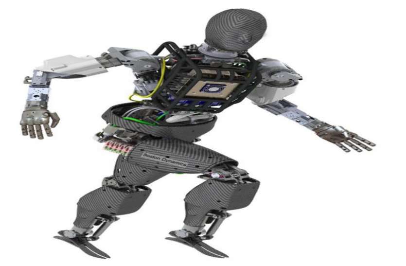 robot आने वाले समय में रोबोट हुबहु कुदरत की नकल कर इंसानों का काम करेगें आसान .