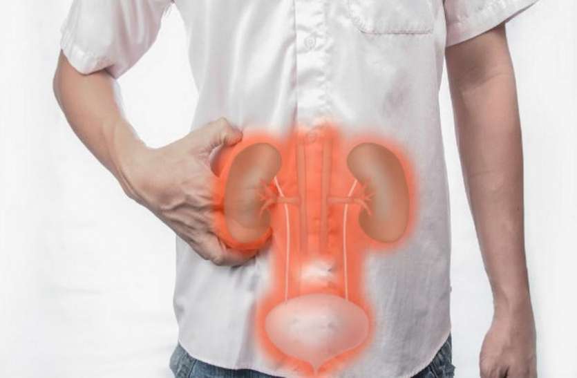 kidney problems किडनी संबंधित रोगों से छुटकारा दिलाएंगे यह सरल उपाय, शरीर को मिलेंगे फायदे ही फायदे