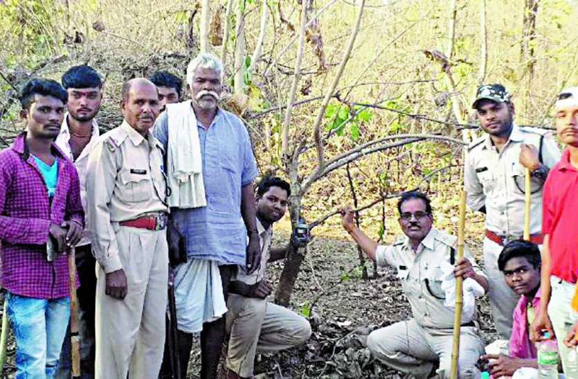Leopard panic in chhindwara दहशत में कई गांव, तेंदुआ से बचाव के लिए लाठी लेकर हो रखवाली
