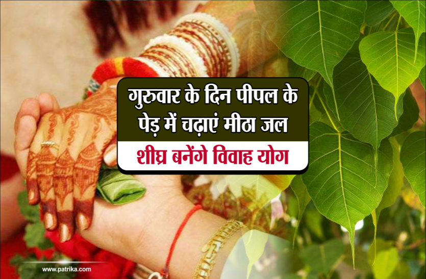 shadi ke yog गुरुवार के दिन पीपल के पेड़ में चढ़ाएं मीठा जल, शीघ्र बनेंगे विवाह योग