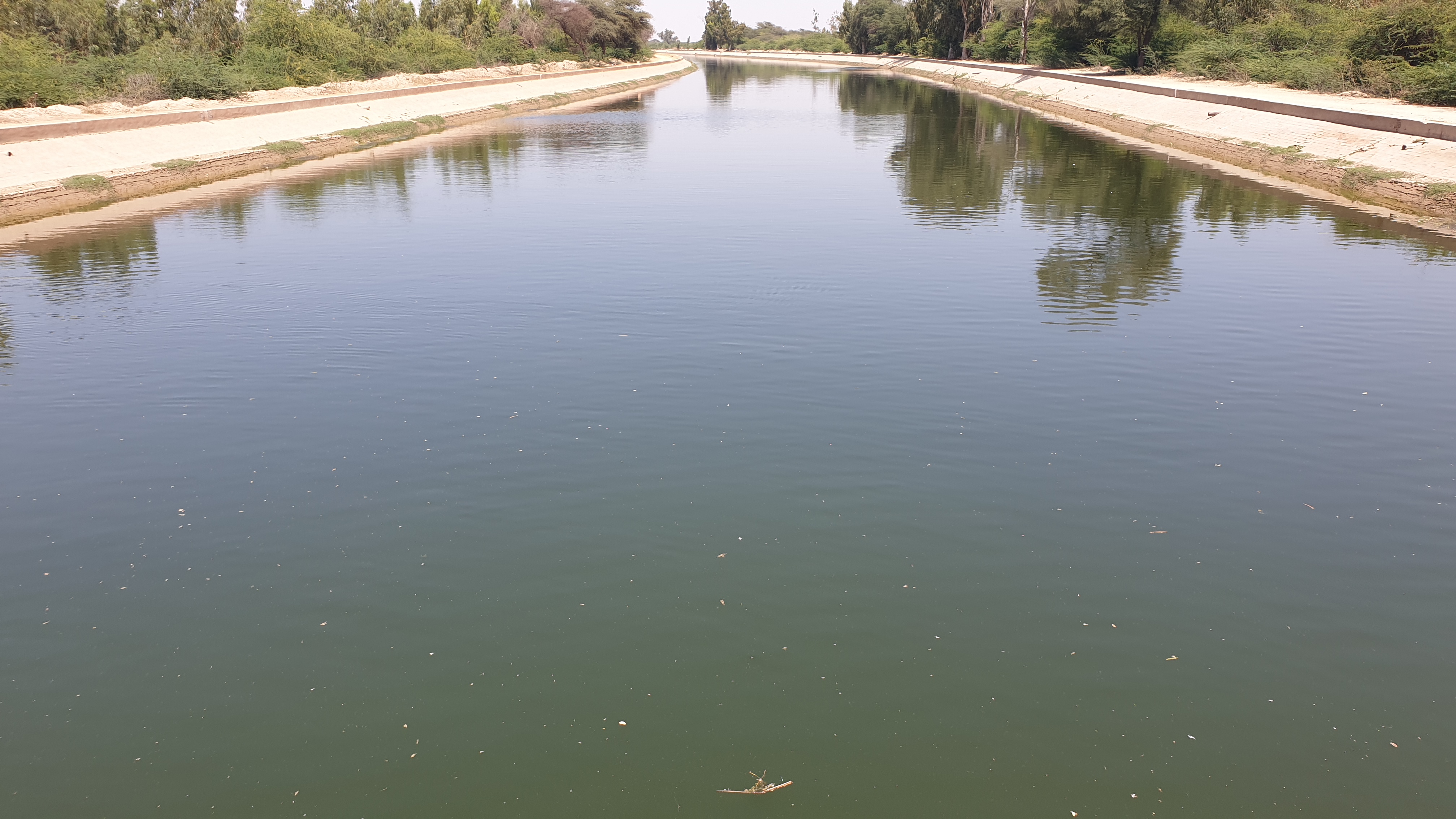 Dirty water coming in the canal नहर में आ रहा गंदला पानी, बीमारियों की आशंका
