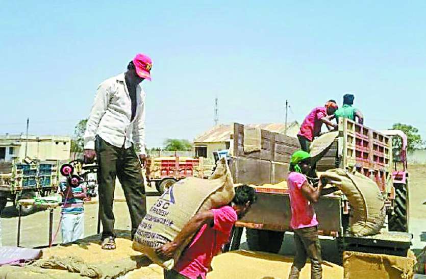 patrika समर्थन मूल्य को किसानों का नहीं मिल रहा समर्थन