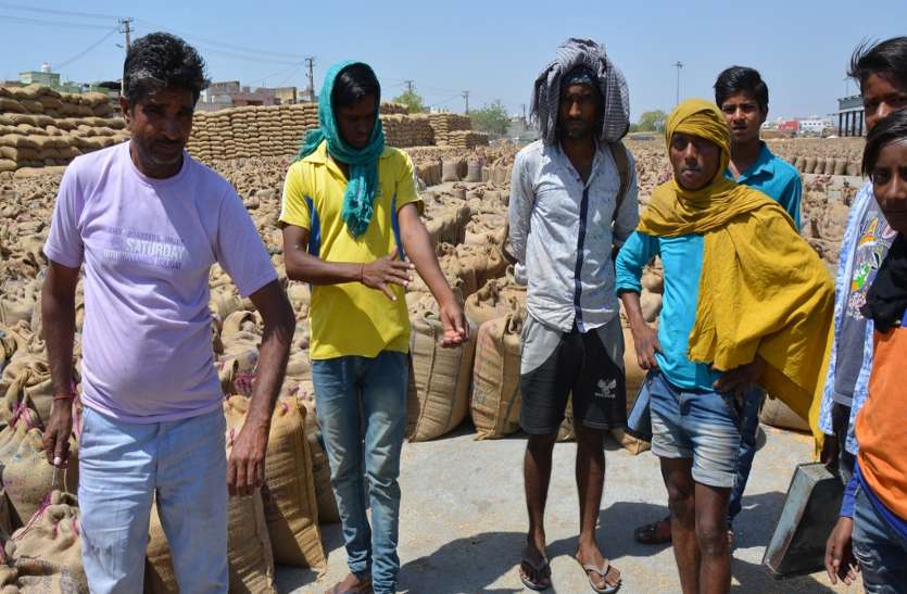 baran छोटे सफेद कीड़े के डंक से तिलमिला रहे लोग