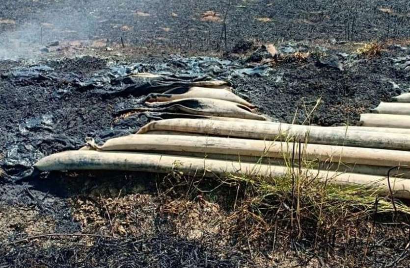A spark has crushed the crop एक चिंगारी ने किसान को कर दिया तबाह